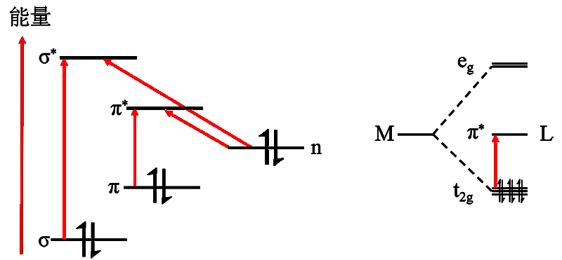 Image 3.png